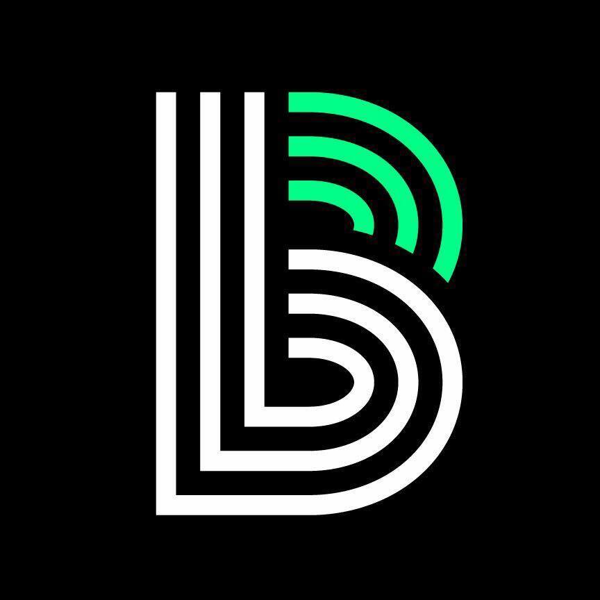 Big Connections - logo